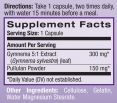 Gymnema Sylvestre 300mg / 30 caps