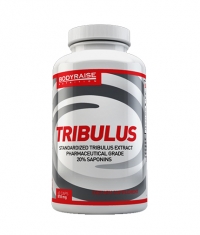 BODYRAISE NUTRITION Tribulus / 60caps