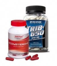 PROMO STACK Testosterone Enhance 7