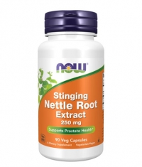 NOW Nettle Root Extract 250mg. / 90 VCaps.