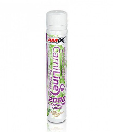 AMIX CarniLine  Pro Fitness 2000 / 1 Fiola