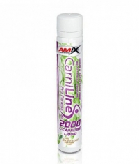 AMIX CarniLine  Pro Fitness 2000 / 1 Fiola
