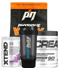 PROMO STACK PACHET PROTEINA + CREATNA + BCAA + SHAKER