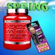 PROMO STACK SPRING Scitec Stack 1