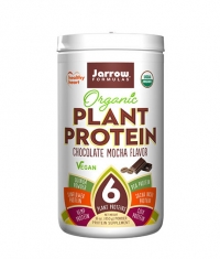 Jarrow Formulas Organic Plant Protein / Choco Mocha