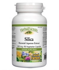 NATURAL FACTORS Silica 500mg. / 90 Vcaps.