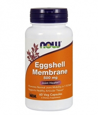 NOW Natural Eggshell Membrane 500mg. / 60 Caps.
