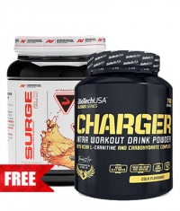 PROMO STACK SUMMER CHARGE 1+1 FREE