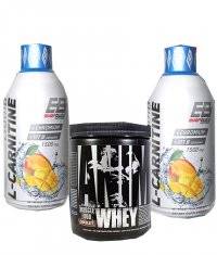 PROMO STACK Carnitine + Whey (Cu arome selectate)