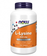 NOW L-Lysine 500mg. / 250 Tabs.