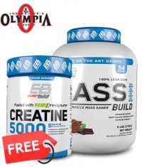 PROMO STACK MR. OLYMPIA STACK 1