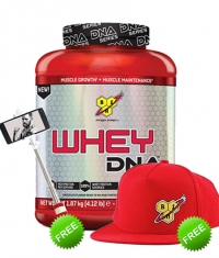 PROMO STACK Bodytimero Stack 26