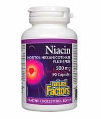 NATURAL FACTORS Niacin 500mg / 90 Caps