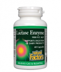 NATURAL FACTORS Lactase Enzyme / 60 Caps.