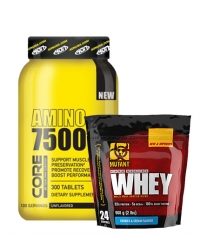 PROMO STACK BODYTIMERO  ST