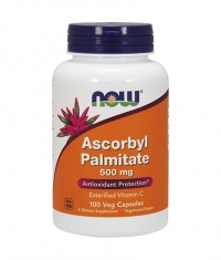 NOW Ascorbyl Palmitate 500mg. / 100 VCaps.