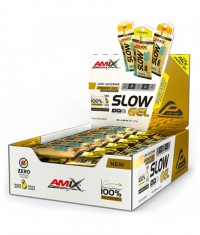 AMIX SLOW Palatinose™ Gel Box / 40x45g