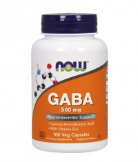 NOW GABA + B-6 / 500mg. / 100 Caps.