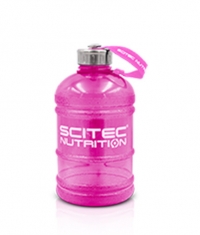 SCITEC 