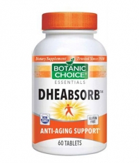 BOTANIC CHOICE DHEAbsorb™ / 60 Tabs