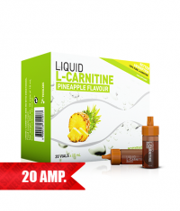 BODYRAISE NUTRITION Liquid L-Carnitine / 20 Fiole.