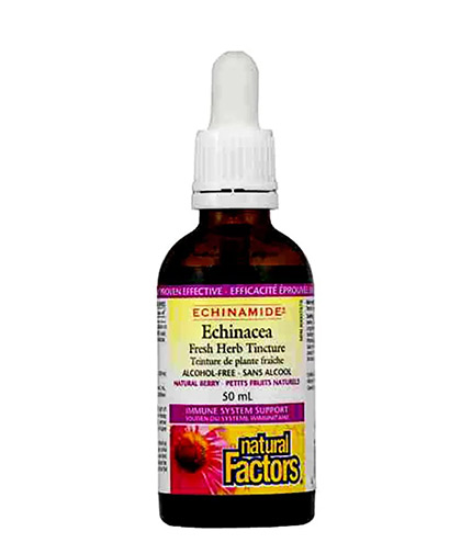 NATURAL FACTORS ECHINAMIDE ANTI-COLD ALCOHOL-FREE