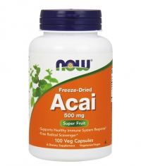 NOW Acai 500mg. / 100 VCaps.