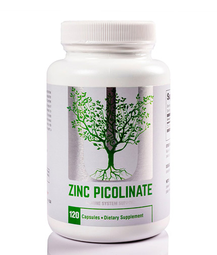 universal Zinc Picolinate / 120 Caps