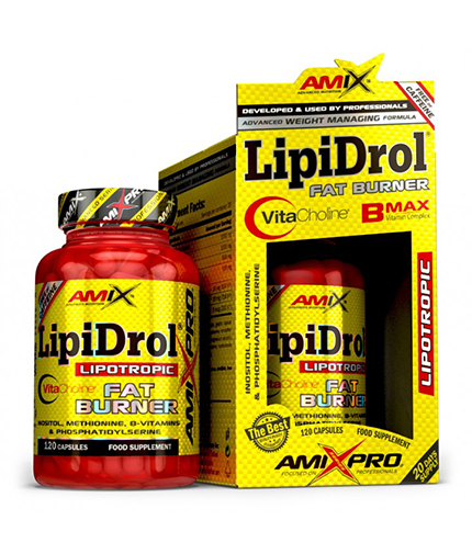 AMIX LipiDrol / 120 Caps. 0.100