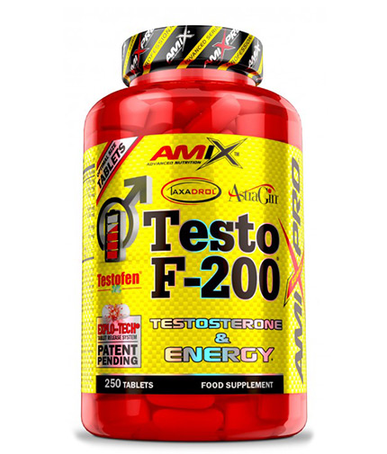 AMIX TestoFuel / 250 Tabs.