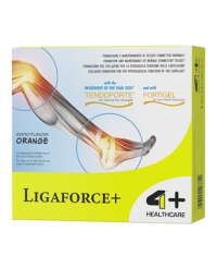 4+ NUTRITION Liga Force + / 14 Sachets