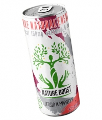NATURE BOOST Natural Energy Drink / 250 ml