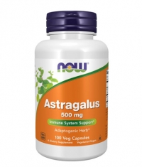 NOW Astragalus 500mg. / 100 Caps.