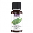 NOW 100% Pure Eucalyptus Radiata Oil / 30 ml