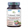 GREWIA T-Gland / TSH / 60 Caps