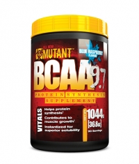 HOT PROMO BCAA 9.7 / 90 Servings