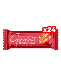 GAM\'S Limited Edition Protein Bar Box / 24 x 50 g