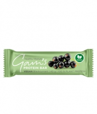 GAM\'S Vegan Protein Bar / 40 g