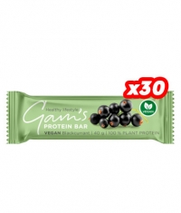 GAM\'S Vegan Protein Bar / 30 x 40 g
