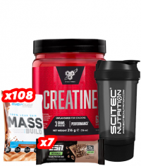 PROMO STACK Mass Stack 3