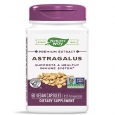 NATURES WAY Astragalus Standardized / 60 Vcaps.