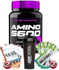 PROMO STACK Scitec Amino 5600 + Proteina MASS BUILD + Creatine + Shaker