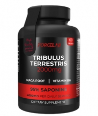 FORCELAB Tribulus Terrestris / 60 Tabs