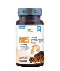 GREWIA M5 Chaga / 60 Caps