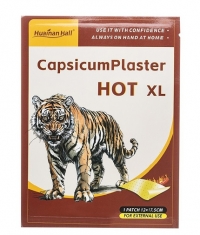 HUAINAN HALL Capsaicin Heating Patch