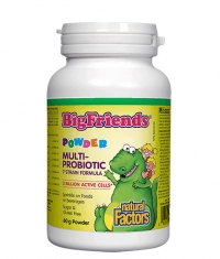 NATURAL FACTORS Big Friends Multi Probiotic for Children 3 Billion Active Probiotics