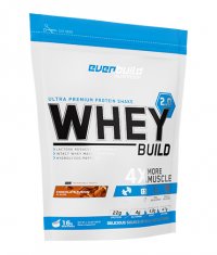 HOT PROMO Whey Protein Build 2.0 / Bag