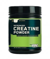 OPTIMUM NUTRITION Creatine Powder