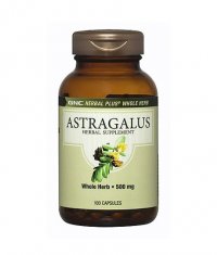 GNC Astragalus 500mg. / 100 Caps.