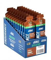 APPLIED NUTRITION Breathe Isotonic Energy Gel - Open Your Airwaves / 20x60g